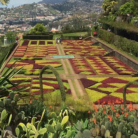 Lejlighed - Bouganvilla Funchal (Madeira)