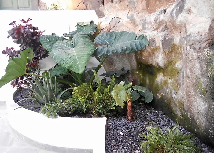 Appartement - Bouganvilla Funchal (Madeira)