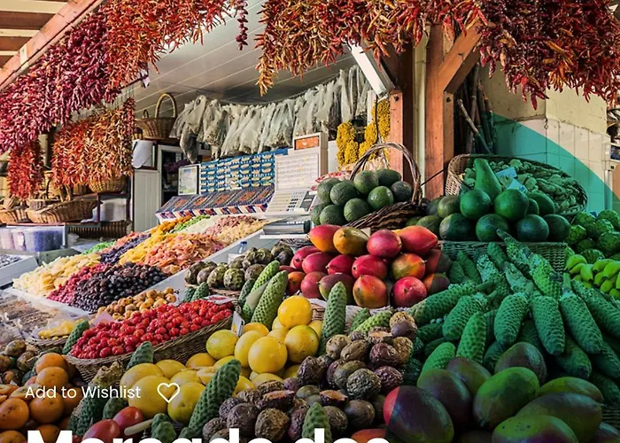 - Bouganvilla