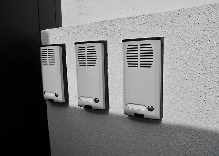 - Bouganvilla * Funchal (Madeira)