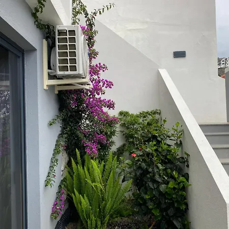 Appartamento - Bouganvilla