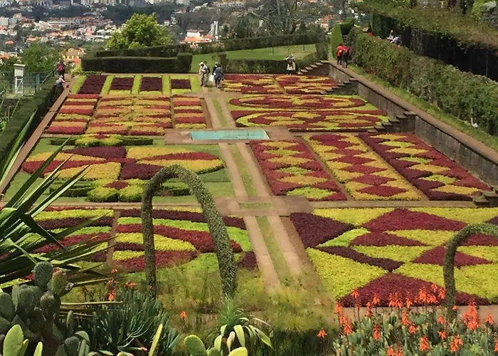 Appartamento - Bouganvilla Funchal (Madeira)