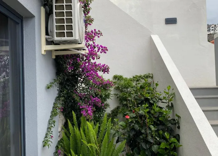 Apartament - Bouganvilla