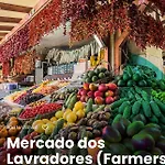 - Bouganvilla
