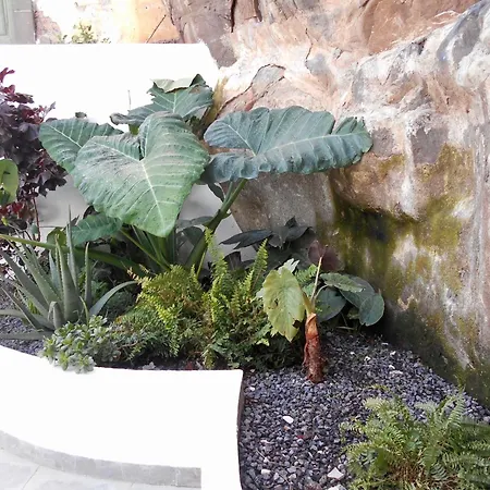 Apartamento - Bouganvilla Funchal (Madeira)