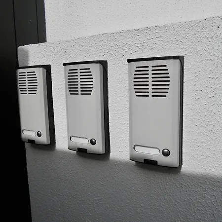 - Bouganvilla * Funchal (Madeira)